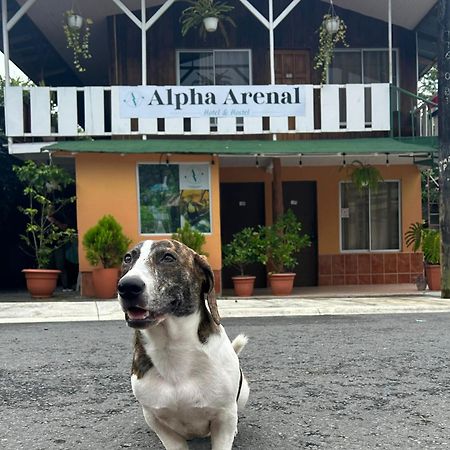 Hostel Alpha Arenal La Fortuna Zewnętrze zdjęcie