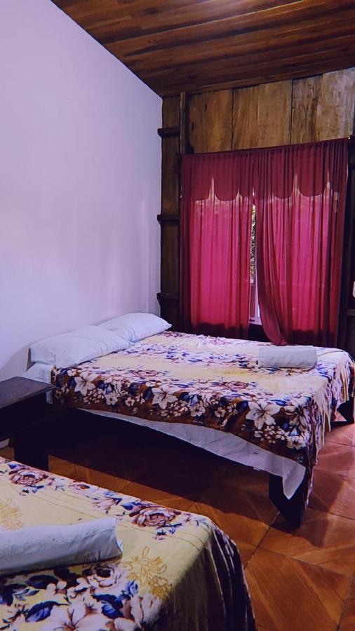 Hostel Alpha Arenal La Fortuna Zewnętrze zdjęcie