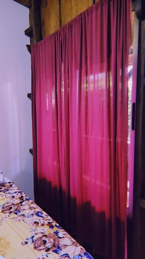 Hostel Alpha Arenal La Fortuna Zewnętrze zdjęcie