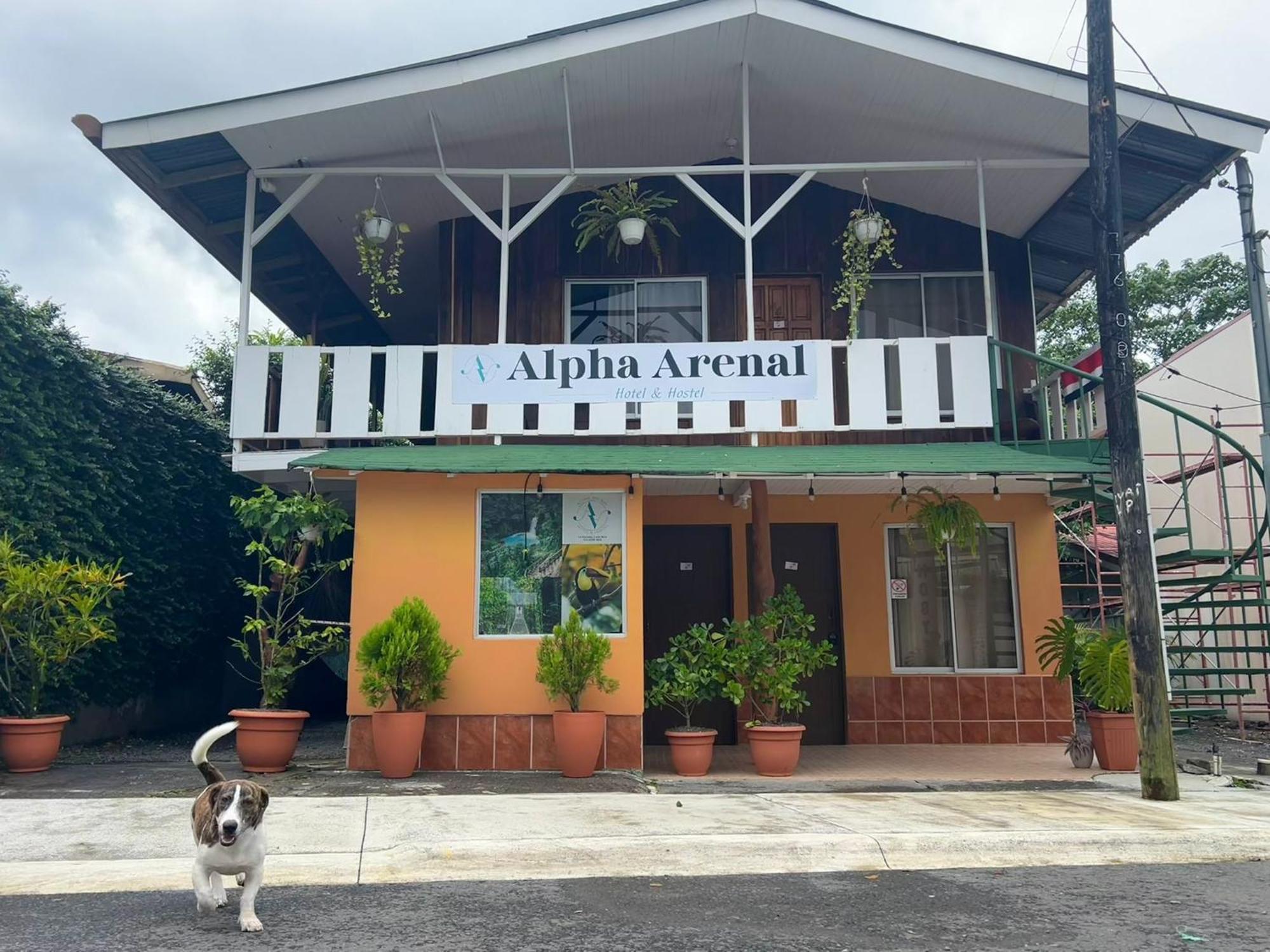 Hostel Alpha Arenal La Fortuna Zewnętrze zdjęcie